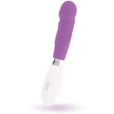Paul Vibrator Lila – Glossy