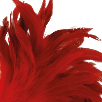Roter Stimulierender Stift 24cm | Darkness