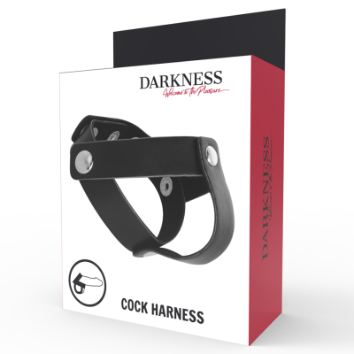 Lederriemen Für Penis Und Hoden H-Teilung | Darkness