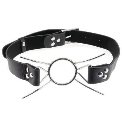 Black leather collar with metal ring and bars, adjustable with buckle and rivets.
