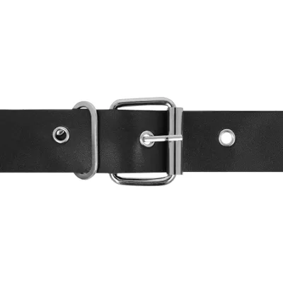 Harness Taylor Deluxe 18 X 4,5cm – Harness Attraction