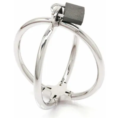 Silver metal puzzle with interlocking rings and a black cube on top.