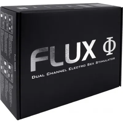 Schwarze Box mit silberner Aufschrift "FLUX Dual Channel Electro Sex Stimulator".