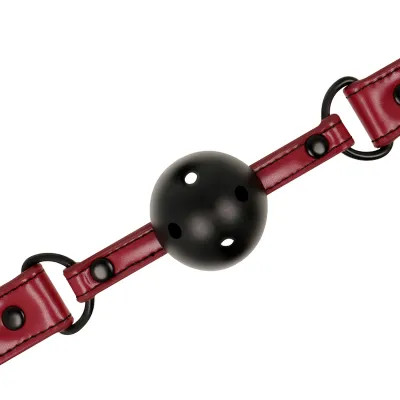 Gag Mit Atemlöchern – Fetish Submissive
