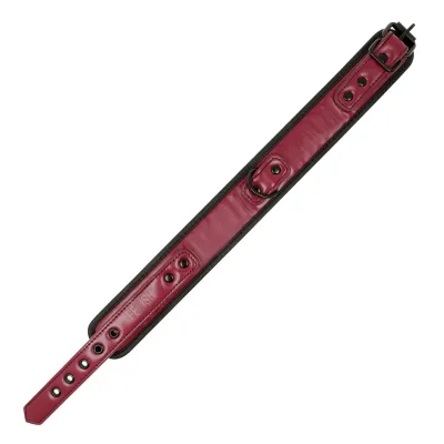 Kettenhalskette Mit Neoprenfutter – Fetish Submissive