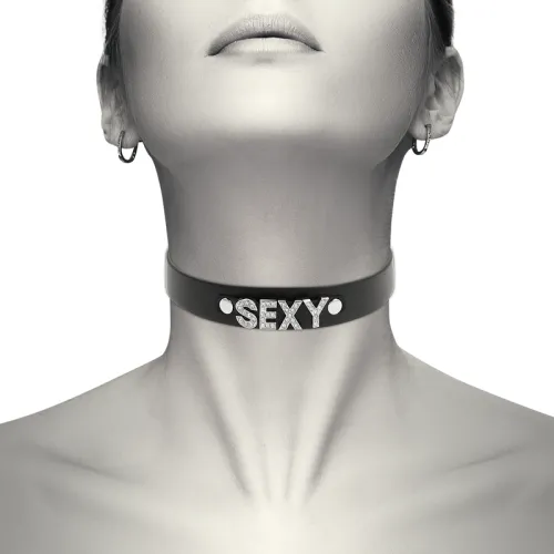 Sexy Veganes Lederhalsband – Coquette Chic Desire