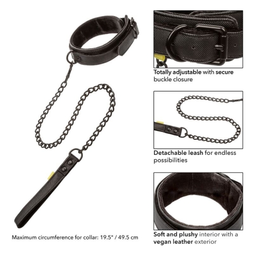 Grenzenloses Halsband Und Leine