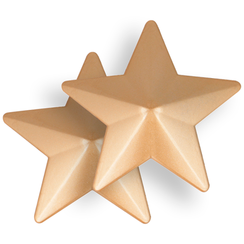 Stern Nipplepatch | Coquette Chic Desire nah aufrecht