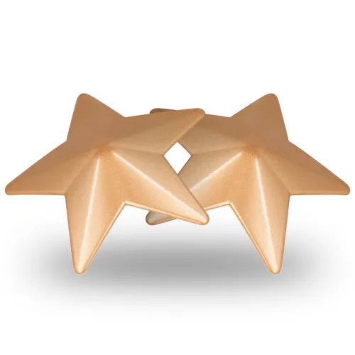 Stern Nipplepatch – Coquette Chic Desire