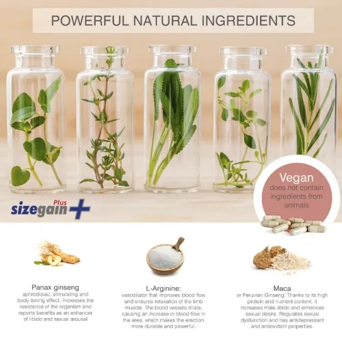 Sizegain Plus – 500 Cosmetics