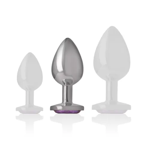 Analplug Aus Aluminium Mit Violettem Glas M – Intense