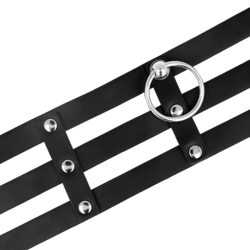 Veganes Lederhalsband Im Fetisch Stil | Coquette Chic Desire