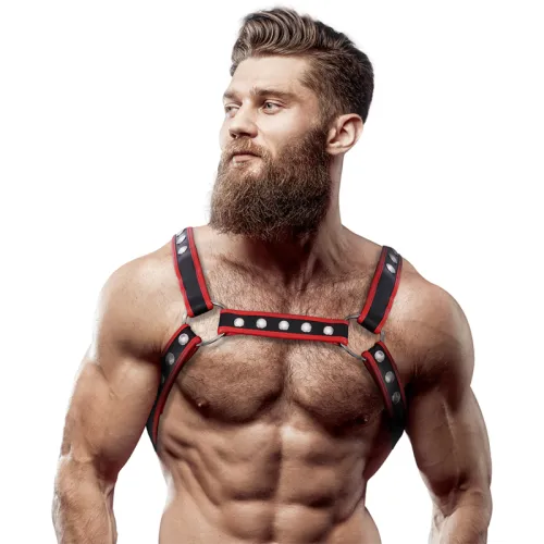 Bulldoggengeschirr Aus Öko Leder Schwarz / Rot – Fetish Submissive