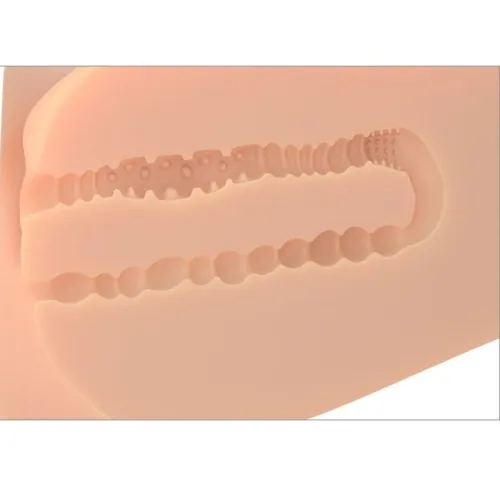 Realistischer Weiblicher Ez Bang Masturbatortorso – Pdx Plus