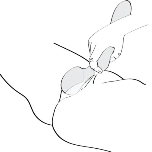 Zoa Intimmassager Schwarz – Shunga