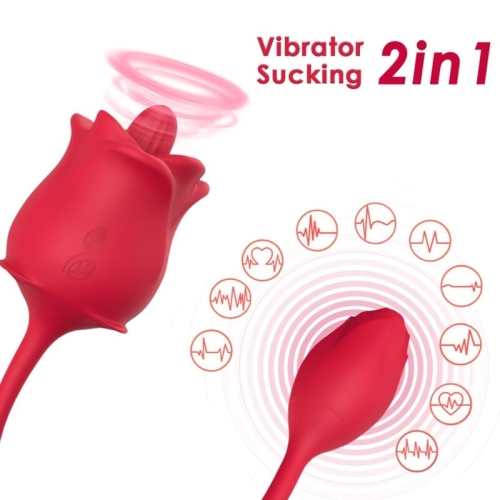 Roter 2-in-1 Vibrator in Rosenform mit Saugfunktion, umgeben von Symbolen für verschiedene Vibrationsmodi.
