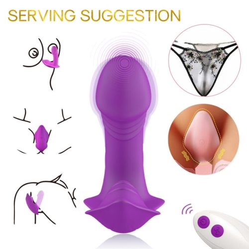 Purple vibrator with remote control, application examples and black lace lingerie.