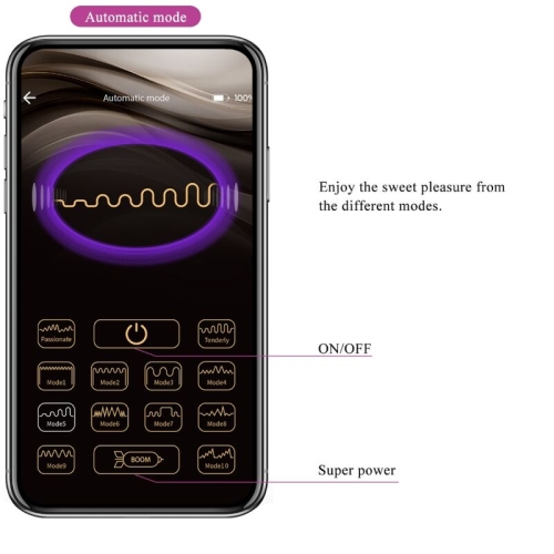 Catalina Vibrator App Fernbedienung Lila | Pretty Love