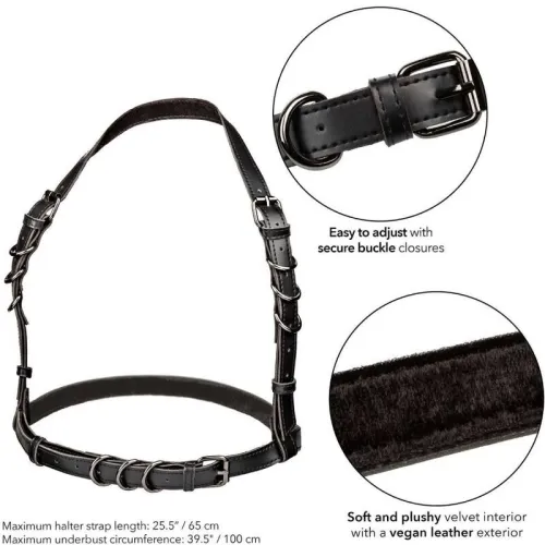 Euphoria Schnallengeschirr Schwarz – Calex