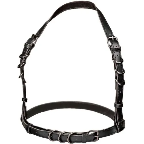 Euphoria Schnallengeschirr Schwarz – Calex