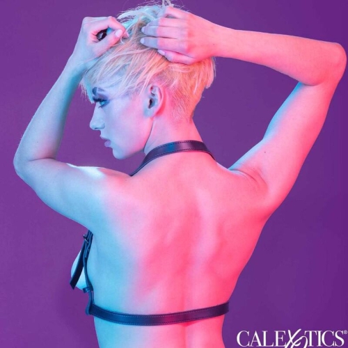 Euphoria Schnallengeschirr Schwarz | Calex