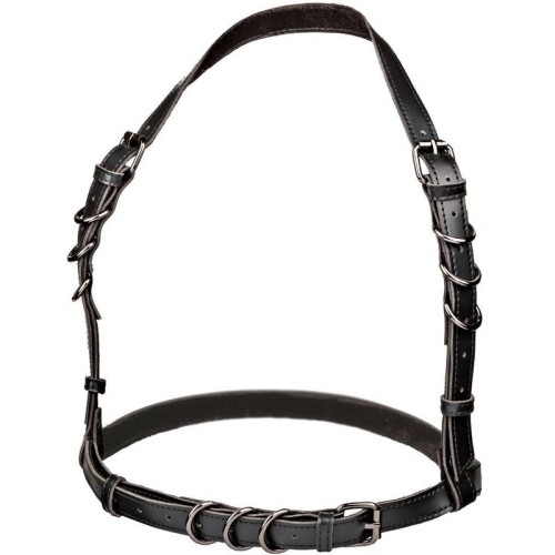 Euphoria Plus Size Buckle Harness Schwarz | Calex