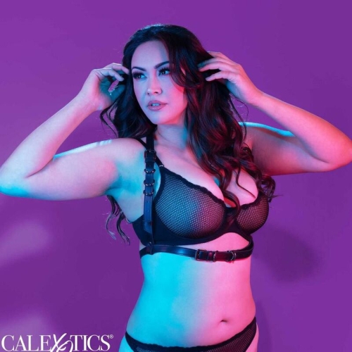 Euphoria Plus Size Buckle Harness Schwarz | Calex