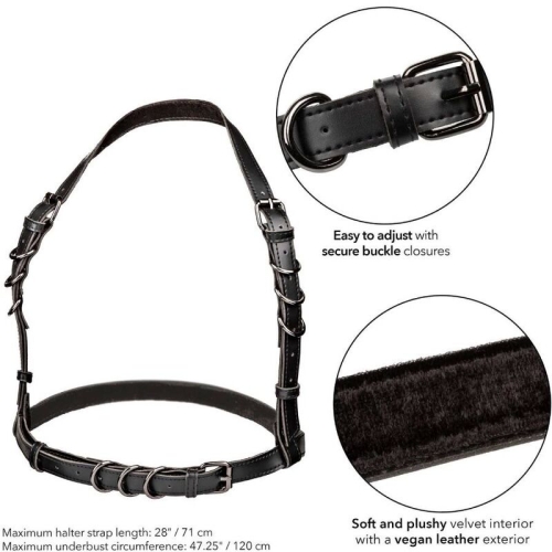 Euphoria Plus Size Buckle Harness Schwarz | Calex