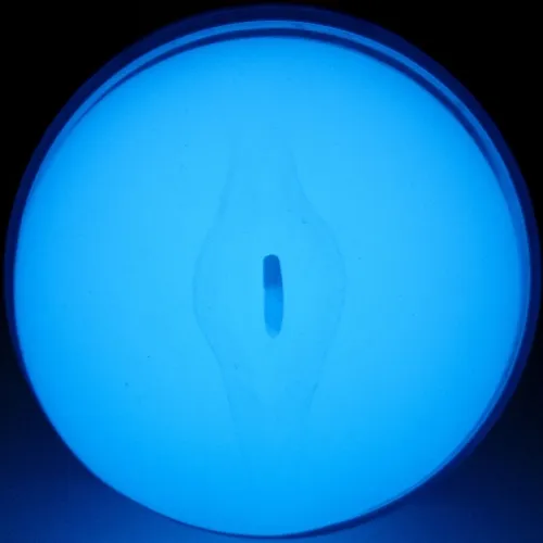 A Glow-in-the-Dark Stroker – Kiiroo