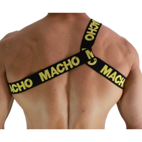 Römisches Geschirr Gelb S/M | Macho