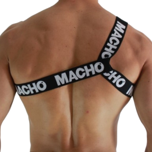 Römisches Geschirr Weiss L/XL | Macho
