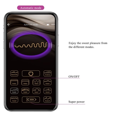 Hector Elektroschockvibrator App Violett | Pretty Love