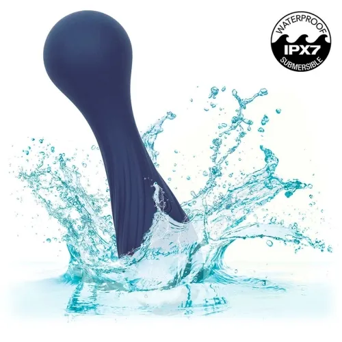 Charisma Temptation Massager 12 Modi Lila – Calex