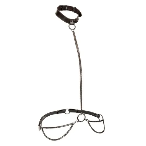 Euphoria Chain Halter Collar and Leash – Calex