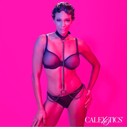 CALEXOTICS - EUPHORIA KETTENHALFTERHALSBAND UND LEINE