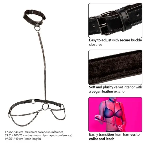 Euphoria Chain Halter Collar and Leash – Calex