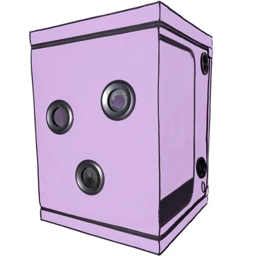 Purple grow box with several round openings and black edges, shown from the side in perspective.