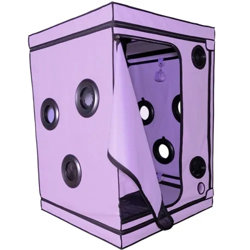 Kink Club Cabin Scandale Purple – Secret Dome