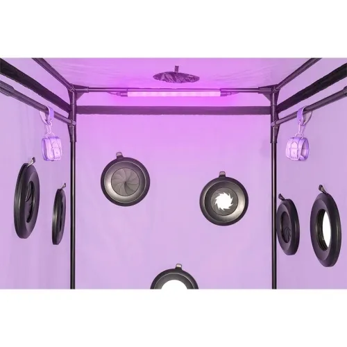 Kink Club Cabin Scandale Purple – Secret Dome