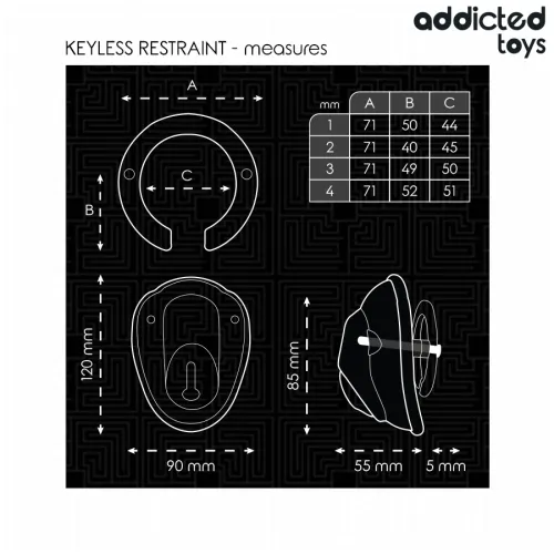 Keyless Penis Cage 11.5cm – Addicted Toys Locked
