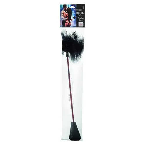 Scandal Black Feather Whip – Calex