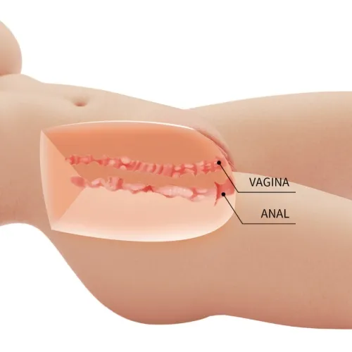 Tiffany Weiblicher Torso Vagina Und Anal 5.5kg – Crazy Bull