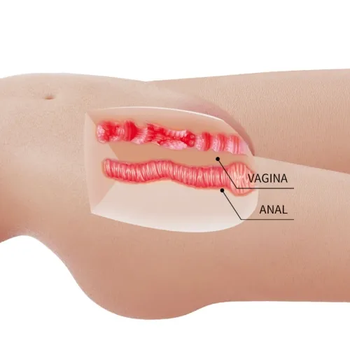 Mia Female Torso Vagina and Anal 8.5kg – Crazy Bull