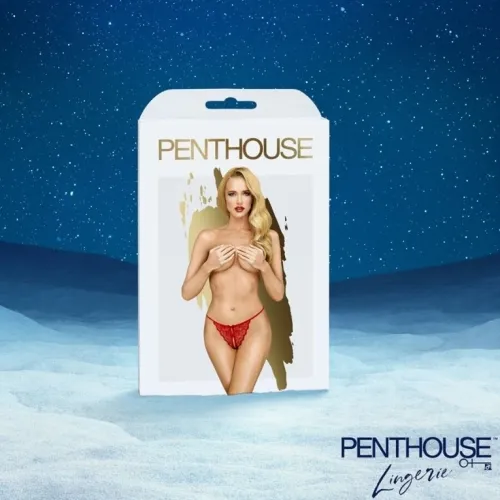 Premium Adventskalender 2025 – Satisfyer