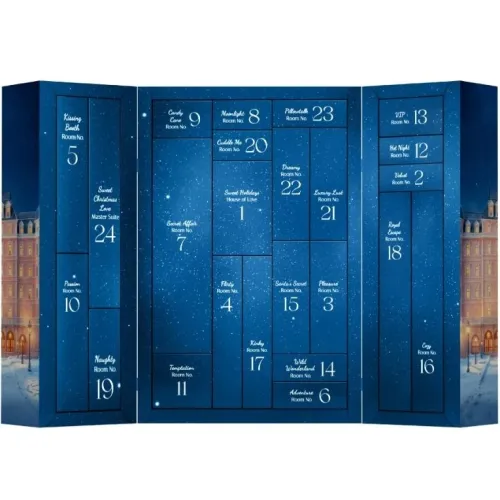 Premium Adventskalender 2025 – Satisfyer