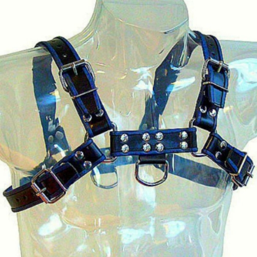 Brustharness Schwarz / Blau Leder | Leatherbody