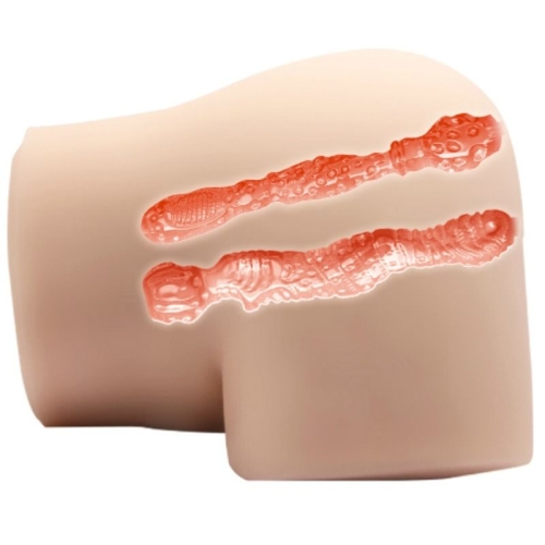 Realistischer Anus Und Vagina Mit Vibrationshaltung 4 | Crazy Bull