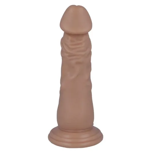 6 Realistic Penis 16.6 X 4.4cm – Mr Intense