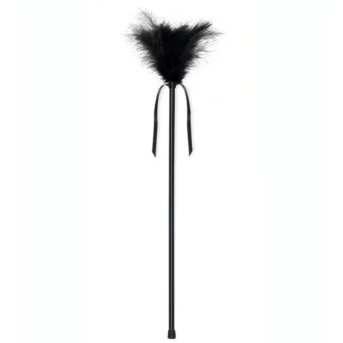 Schwarze Federn 40cm – Secretplay