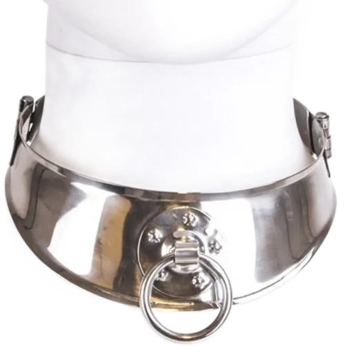 Metal collar with ring on a white bust.